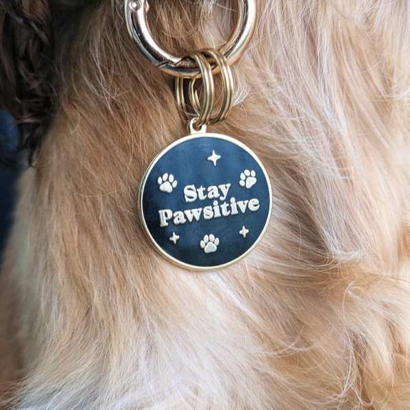 Stay Pawsitive Custom Engraved Dog Tag