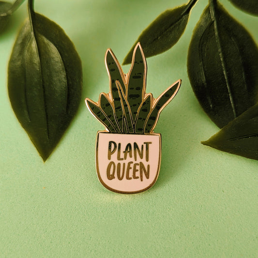 plant gift ideas